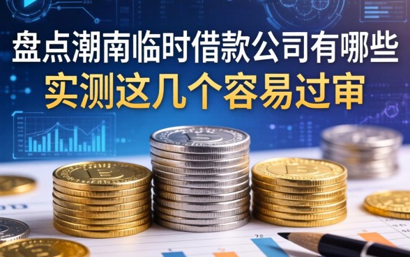 盘点潮南临时借款公司有哪些，实测这几个容易过审