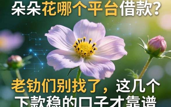 朵朵花是哪个平台借款？老铁们别找了，这几个下款稳的口子才靠谱