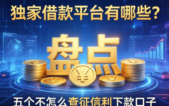 独家借款平台有哪些？盘点五个不怎么查征信的下款口子