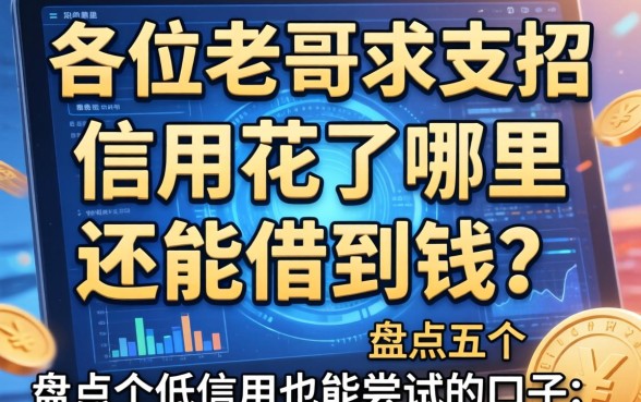 各位老哥求支招，信用花了哪里还能借到钱？盘点五个低信用也能尝试的口子