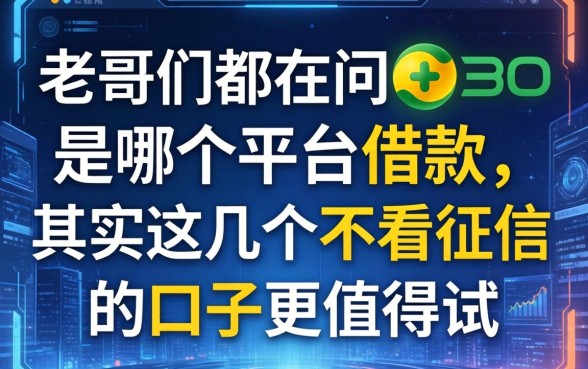 老哥们都在问360是哪个平台借款，其实这几个不看征信的口子更值得试