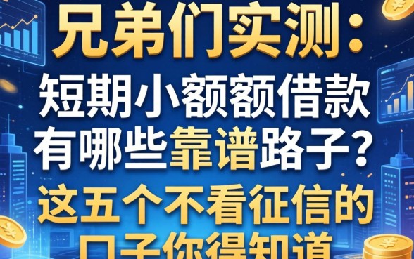 兄弟们实测：短期小额度借款有哪些靠谱路子？这五个不看征信的口子你得知道