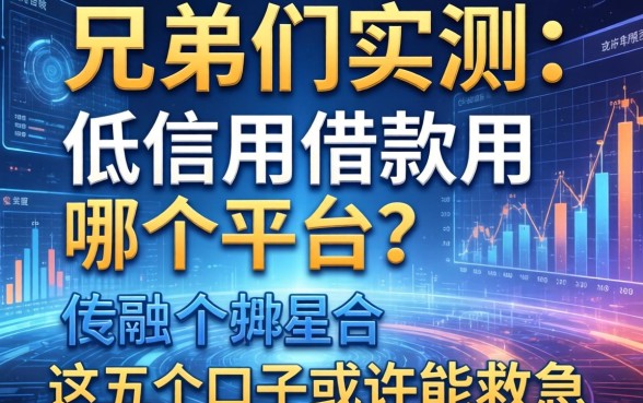 兄弟们实测：低信用借款用哪个平台？这五个口子或许能救急