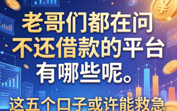 老哥们都在问不还借款的平台有哪些呢，这五个口子或许能救急