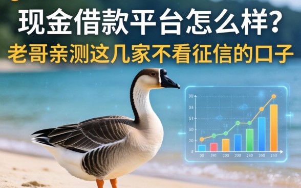大鹅现金借款平台怎么样？老哥亲测这几家不看征信的口子