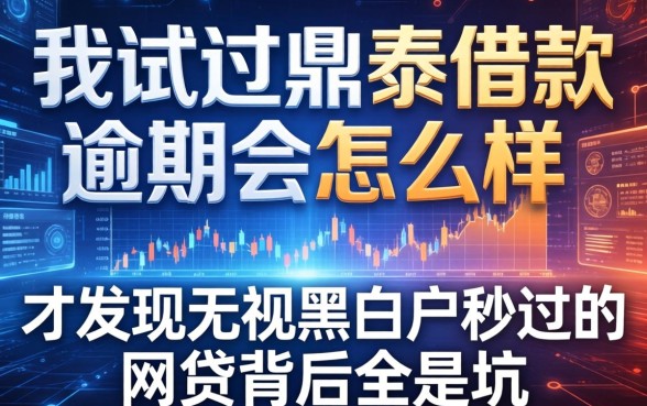 我试过鼎泰借款逾期会怎么样，才发现无视黑白户秒过的网贷背后全是坑