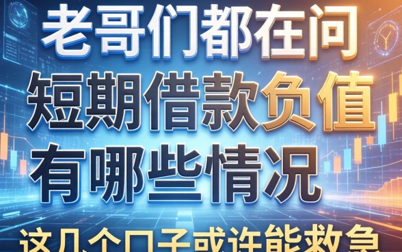 老哥们都在问短期借款负值有哪些情况，这几个口子或许能救急