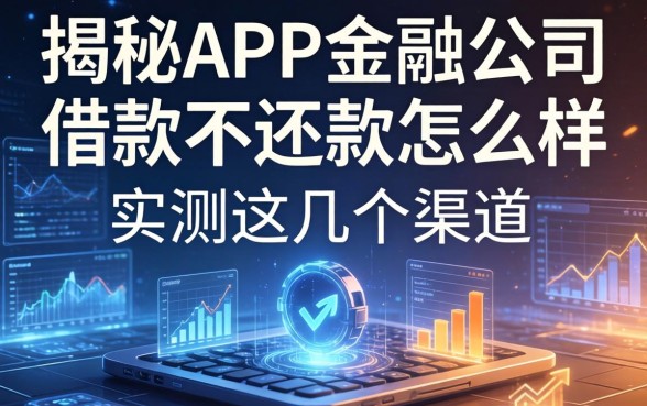 揭秘APP金融公司借款不还款怎么样，实测这几个渠道