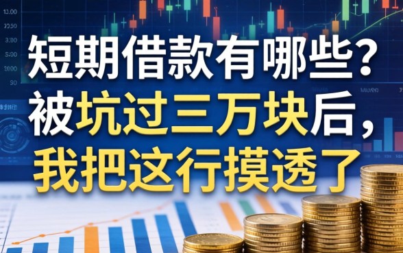 短期的借款有哪些？被坑过三万块后，我把这行摸透了