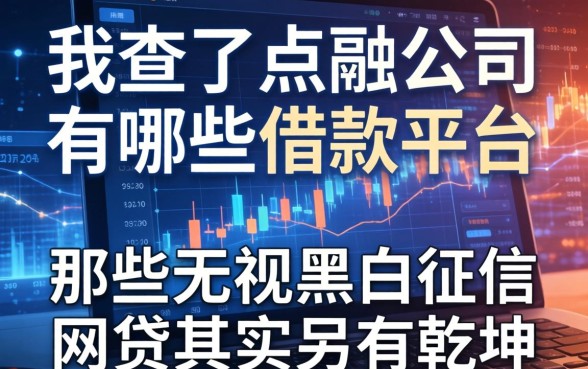 我查了点融公司有哪些借款平台，发现那些无视黑白征信的网贷其实另有乾坤