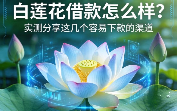 白莲花借款怎么样？实测分享这几个容易下款的渠道