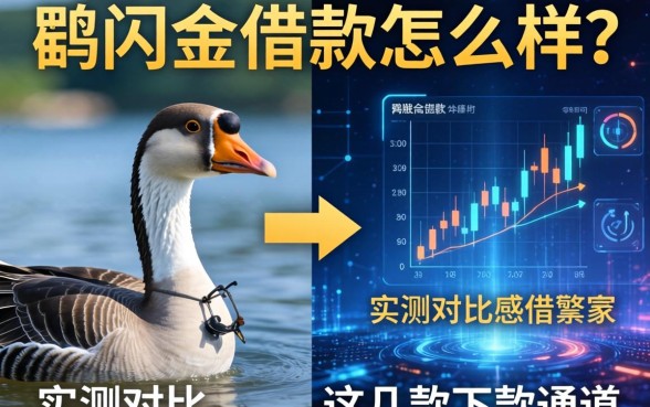 鹅闪金借款怎么样？实测对比这几款下款通道