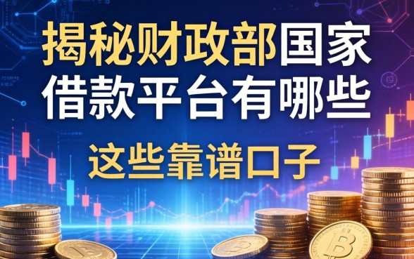揭秘财政部国家借款平台有哪些，整理出这些靠谱口子