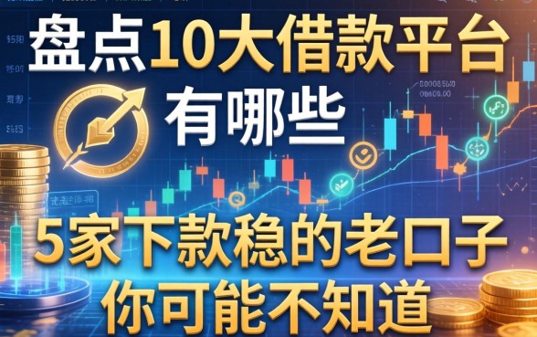 盘点10大借款平台有哪些，这5家下款稳的老口子你可能不知道