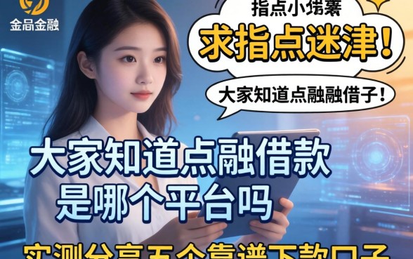求指点迷津！大家知道点融借款是哪个平台吗？实测分享五个靠谱下款口子