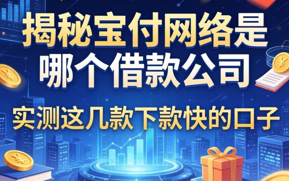 揭秘宝付网络是哪个借款公司，实测这几款下款快的口子