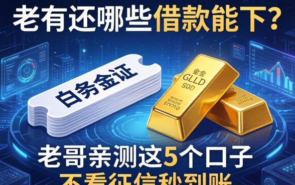 除了白条金条还有哪些借款能下？老哥亲测这5个口子不看征信秒到账