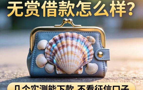 贝壳钱包借款怎么样？分享几个实测能下款的不看征信口子