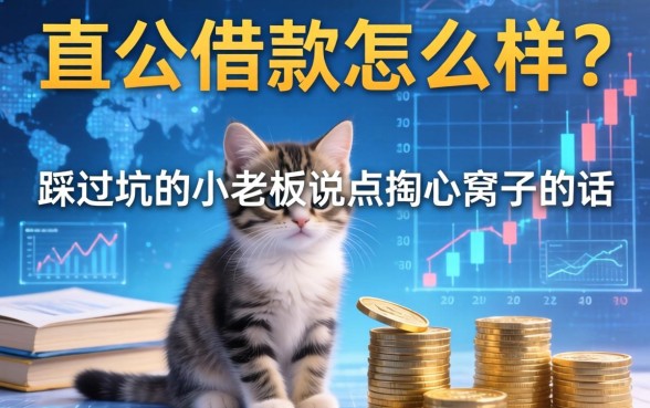 对公借款怎么样？一个踩过坑的小老板说点掏心窝子的话