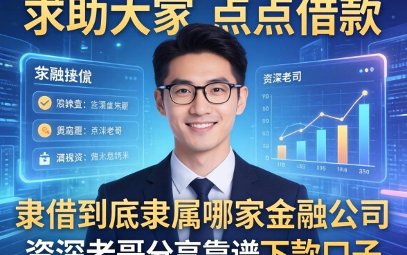求助大家，点点借款到底隶属哪家金融公司？资深老哥分享靠谱下款口子