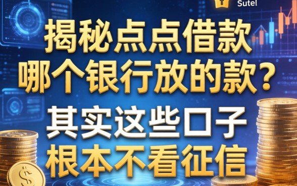 揭秘点点借款哪个银行放的款？其实这些口子根本不看征信