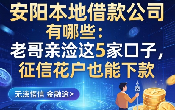 安阳本地借款公司有哪些？老哥亲测这5家口子，征信花户也能下款