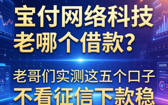 宝付网络科技是哪个借款？老哥们实测这五个口子不看征信下款稳
