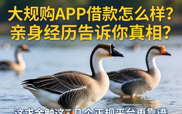 大鹅购APP借款怎么样？亲身经历告诉你真相，这几个正规平台更靠谱