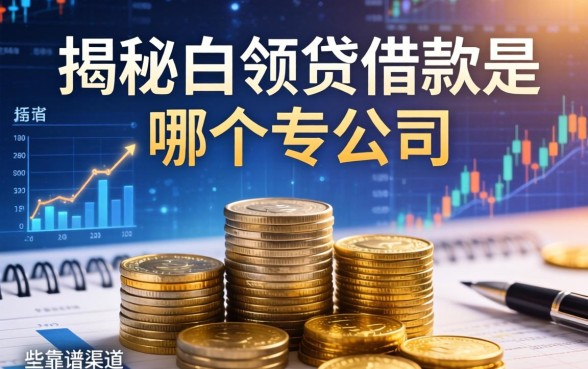 揭秘白领贷借款是哪个公司的，整理了这些靠谱渠道