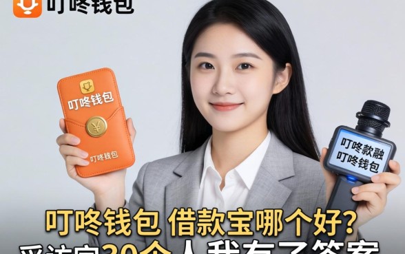 叮咚钱包和借款宝哪个好？采访完30个人我有了答案