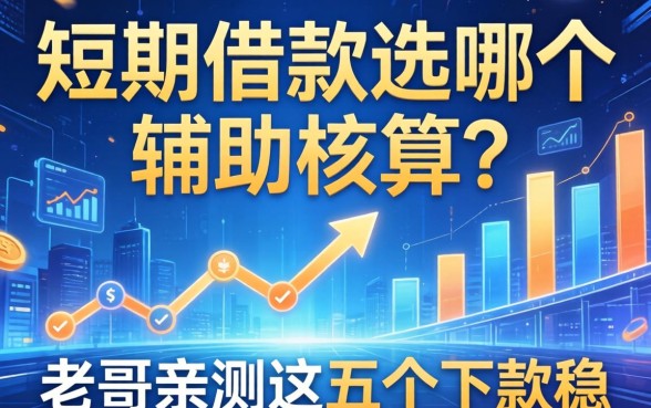 短期借款选哪个辅助核算？老哥亲测这五个下款稳