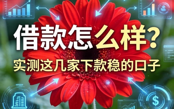 大红花借款怎么样？实测这几家下款稳的口子