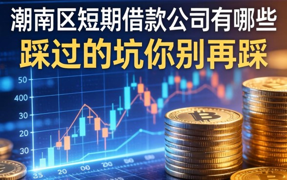 潮南区短期借款公司有哪些？我踩过的坑你别再踩