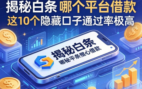 揭秘白条在哪个平台借款，这10个隐藏口子通过率极高