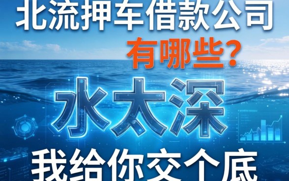 北流押车借款公司有哪些？这行水太深，我给你交个底