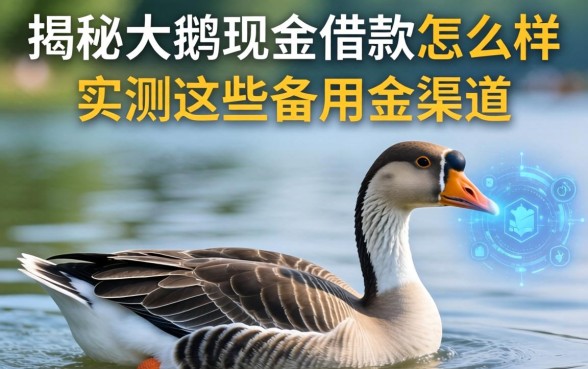 揭秘大鹅现金借款怎么样，实测这些备用金渠道