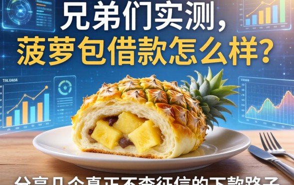 兄弟们实测：菠萝包借款怎么样？分享几个真正不查征信的下款路子