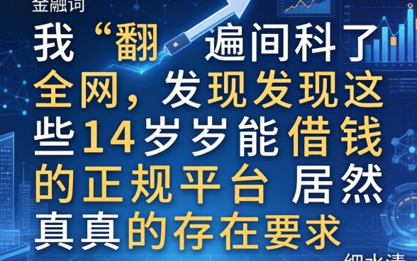 我翻遍了全网，发现这些14岁能借钱的正规平台居然真的存在