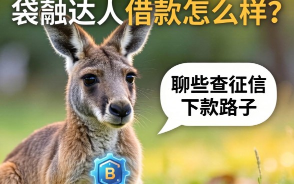 袋鼠达人借款怎么样？聊聊那些不查征信的下款路子