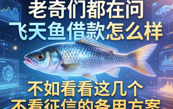 老哥们都在问飞天鱼借款怎么样，不如看看这几个不看征信的备用方案