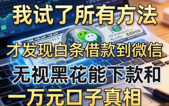 我试了所有方法，才发现白条借款到微信和无视黑花能下款一万元口子的真相