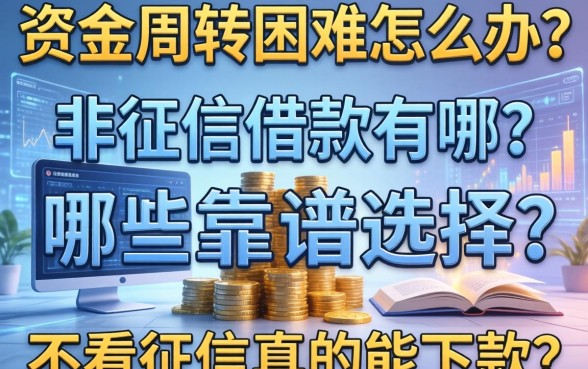 资金周转困难怎么办?非征信借款有哪些靠谱选择?不看征信真的能下款吗?