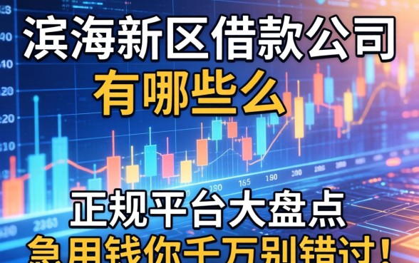滨海新区借款公司有哪些？正规平台大盘点，急用钱的你千万别错过！