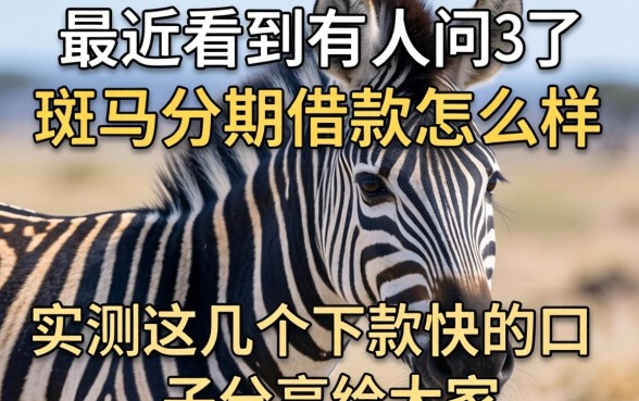 最近看到有人问斑马分期借款怎么样，实测这几个下款快的口子分享给大家