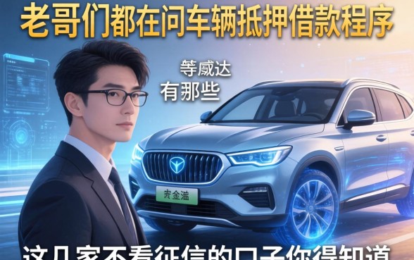 老哥们都在问车辆抵押借款程序有哪些，这几家不看征信的口子你得知道