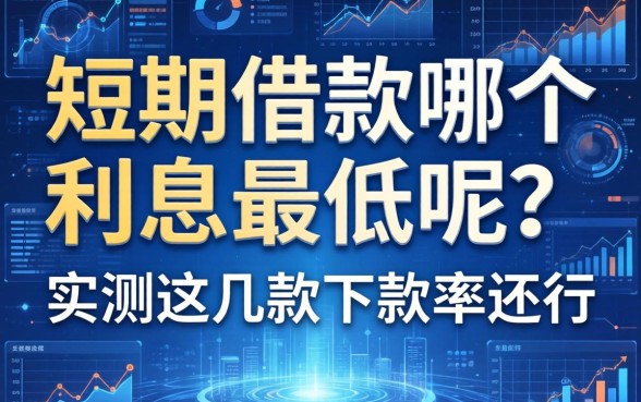 短期借款哪个利息最低呢？实测这几款下款率还行