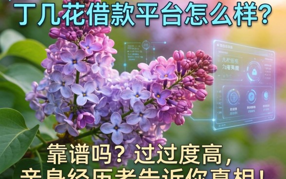 丁香花借款平台怎么样？靠谱吗？通过率高吗？亲身经历者告诉你真相！