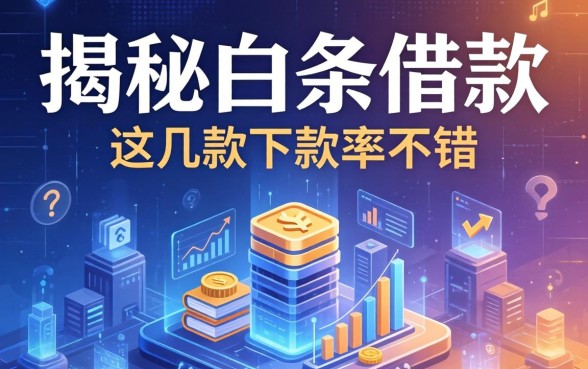 揭秘白条借款的信息有哪些呢，这几款下款率不错