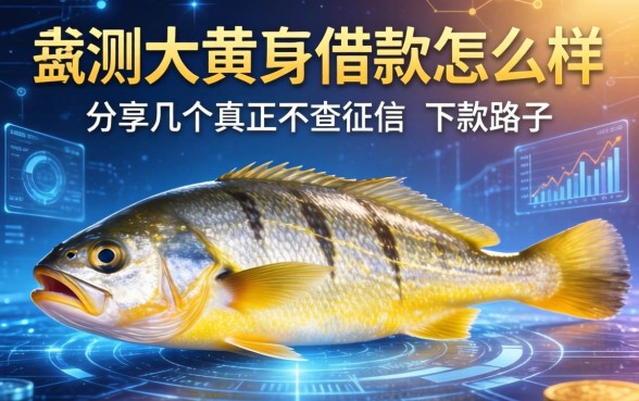 实测大黄鱼借款怎么样，分享几个真正不查征信的下款路子