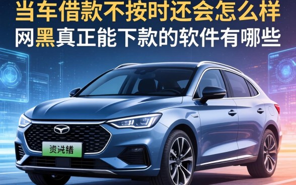 车借款不按时还会怎么样，网黑真正能下款的软件有哪些